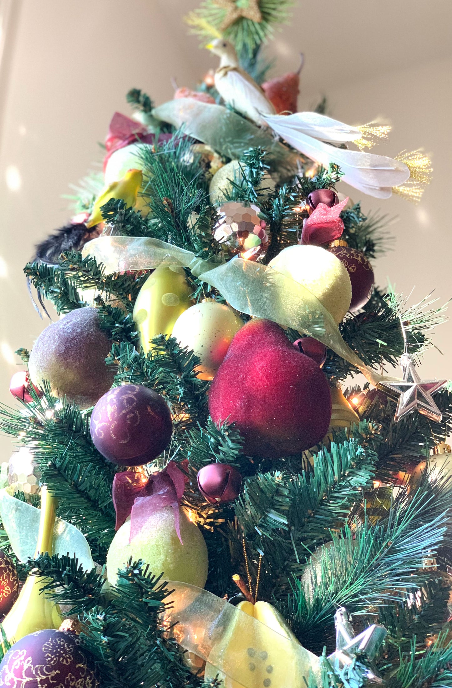 And a Partridge in a Pear Tree